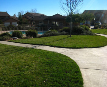 picture of meadowood grassy area